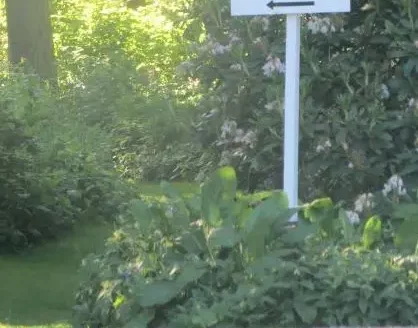 A sign pointing towards the Woodpath with an ornamental rhododendron in flower behind